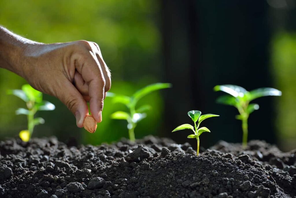 Environmental Stewardship