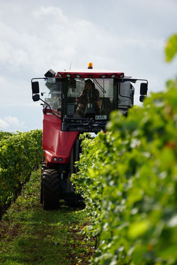 A tractor is driving through a vineyard